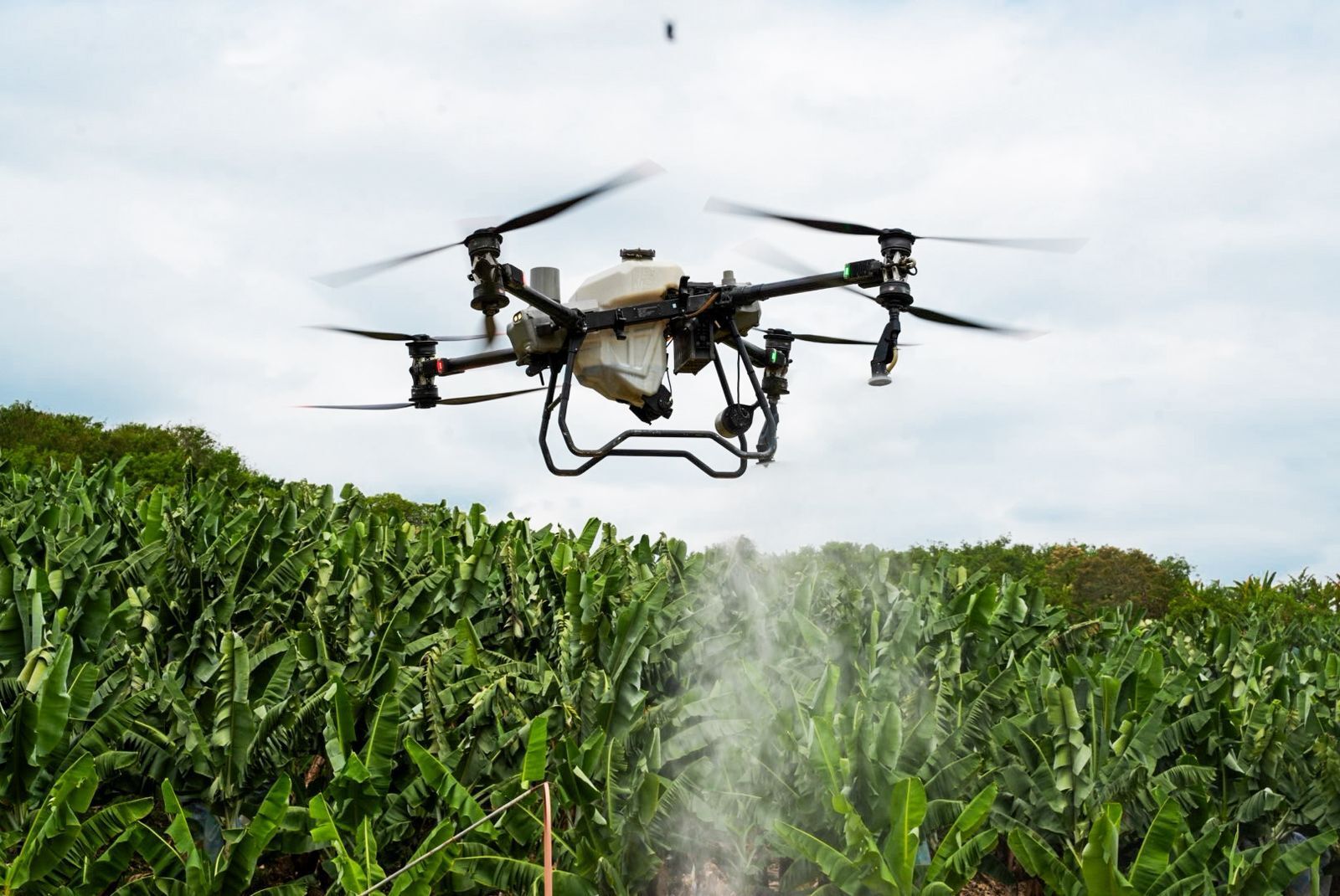 Dron agrícola BALVIL en operación de campo